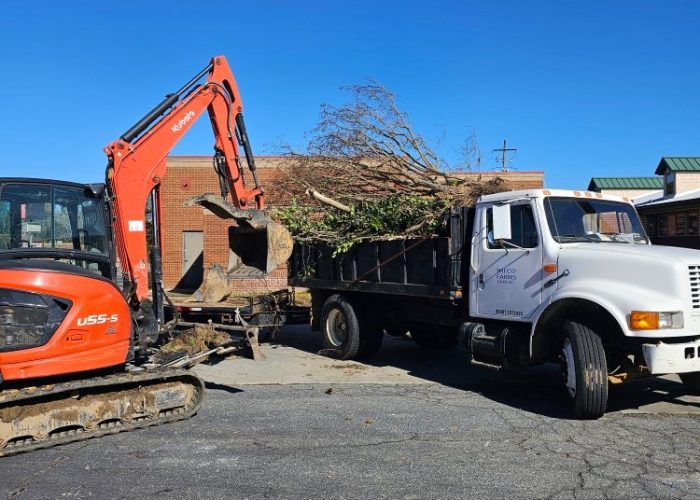 An excavator loads debris onto a flatbed truck in a construction area under a clear blue sky. The scene shows equipment used for landscaping or cleanup.