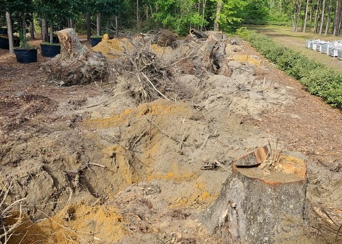A cleared area shows tree stumps and exposed roots, with piles of dirt and debris scattered around. Lush greenery and trees are visible in the background.