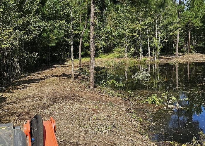 A view of a cleared path along a pond, surrounded by trees and greenery, with an orange piece of equipment in the foreground. The scene is bright and sunny, showcasing a peaceful natural setting.